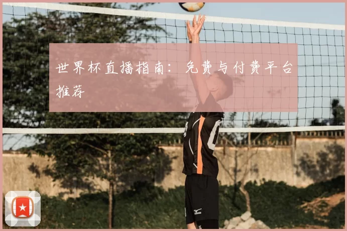 世界杯直播指南:免费与付费平台推荐
