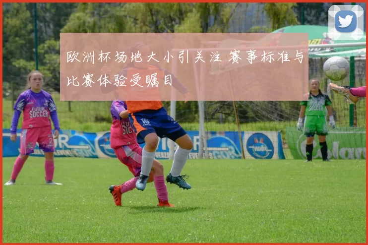 欧洲杯场地大小引关注 赛事标准与比赛体验受瞩目