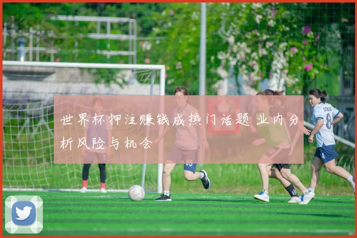 世界杯押注赚钱成热门话题 业内分析风险与机会