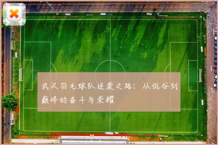 武汉羽毛球队逆袭之路：从低谷到巅峰的奋斗与荣耀