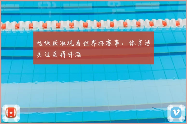咕咪获准观看世界杯赛事，体育迷关注度再升温