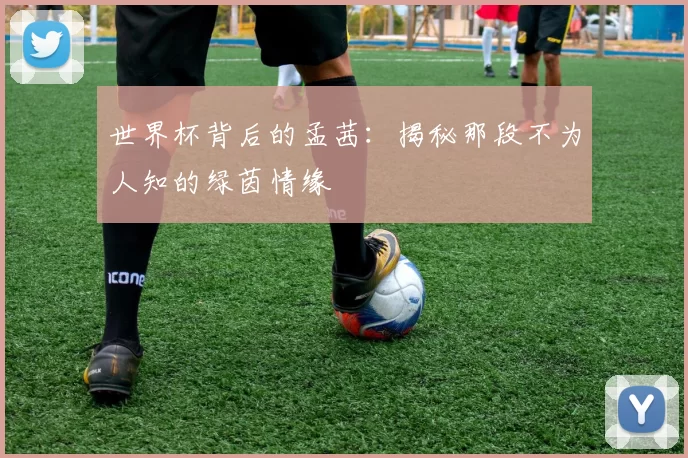 世界杯背后的孟茜：揭秘那段不为人知的绿茵情缘