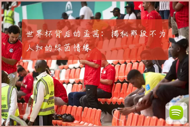 世界杯背后的孟茜:揭秘那段不为人知的绿茵情缘