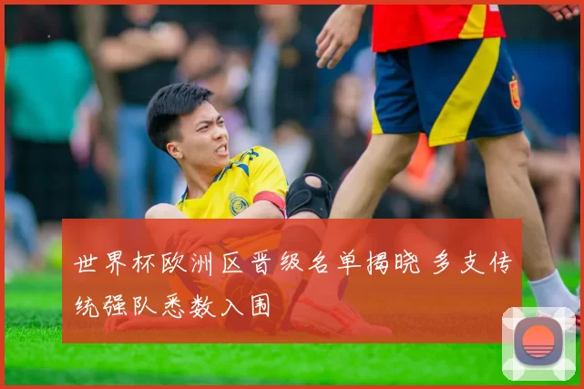 世界杯欧洲区晋级名单揭晓 多支传统强队悉数入围