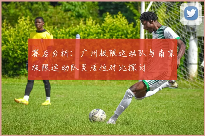 赛后分析:广州极限运动队与南京极限运动队灵活性对比探讨