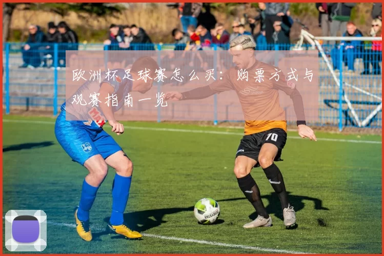 欧洲杯足球赛怎么买：购票方式与观赛指南一览
