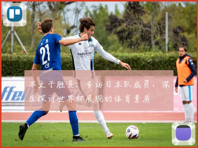 不止于胜负:专访日本队成员,深度探讨世界杯展现的体育素质