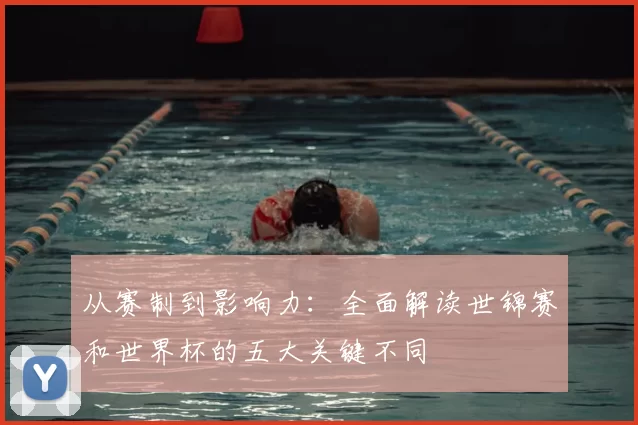 从赛制到影响力：全面解读世锦赛和世界杯的五大关键不同